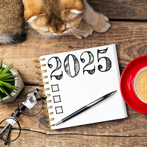 A New Way to Set Intentions for 2025